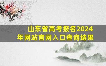 山东省高考报名2024年网站官网入口查询结果