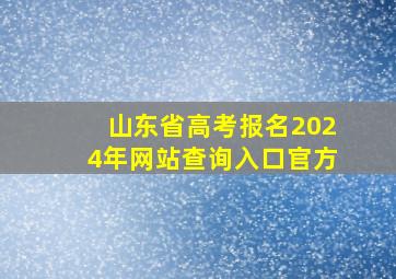 山东省高考报名2024年网站查询入口官方