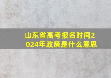 山东省高考报名时间2024年政策是什么意思