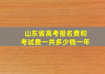 山东省高考报名费和考试费一共多少钱一年