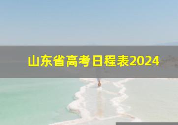 山东省高考日程表2024