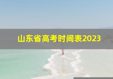 山东省高考时间表2023