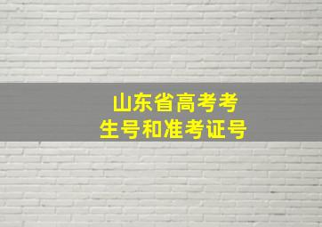 山东省高考考生号和准考证号