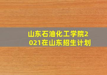 山东石油化工学院2021在山东招生计划