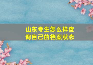 山东考生怎么样查询自己的档案状态