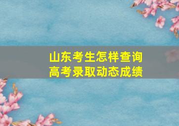 山东考生怎样查询高考录取动态成绩