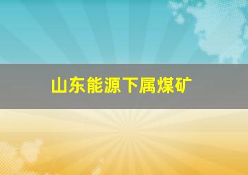 山东能源下属煤矿