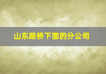 山东路桥下面的分公司