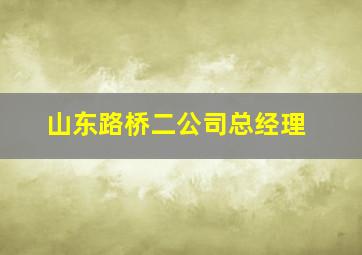 山东路桥二公司总经理