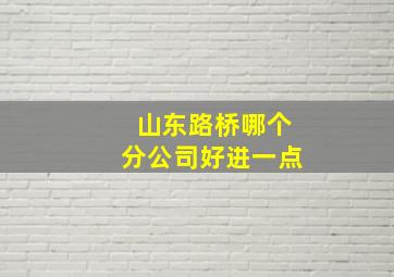 山东路桥哪个分公司好进一点