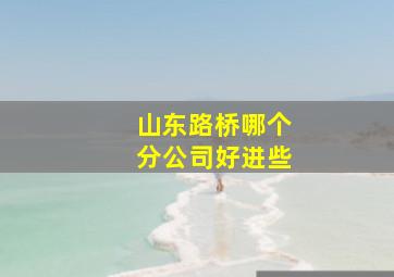 山东路桥哪个分公司好进些