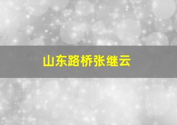 山东路桥张继云