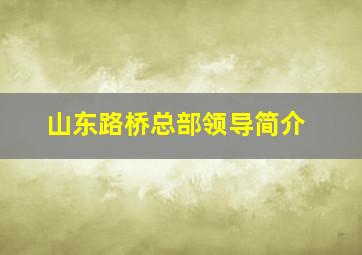 山东路桥总部领导简介