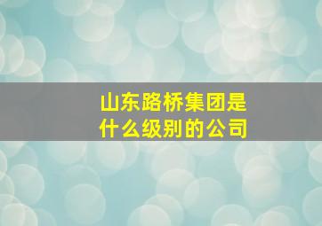 山东路桥集团是什么级别的公司