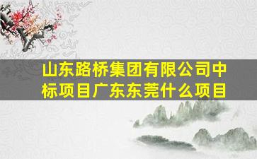 山东路桥集团有限公司中标项目广东东莞什么项目