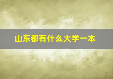 山东都有什么大学一本