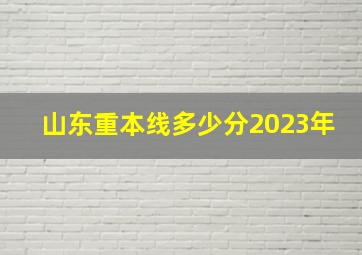 山东重本线多少分2023年