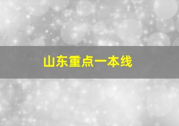 山东重点一本线