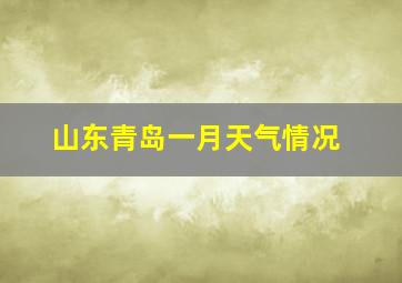 山东青岛一月天气情况