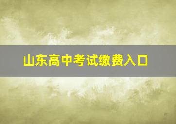 山东高中考试缴费入口