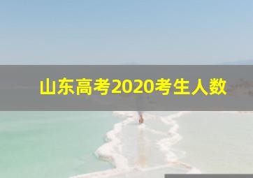 山东高考2020考生人数