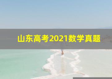 山东高考2021数学真题