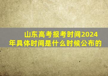 山东高考报考时间2024年具体时间是什么时候公布的