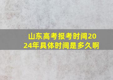 山东高考报考时间2024年具体时间是多久啊