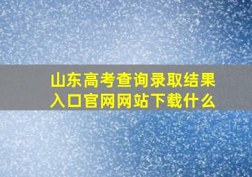 山东高考查询录取结果入口官网网站下载什么