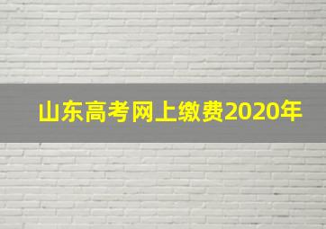 山东高考网上缴费2020年