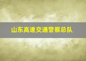 山东高速交通警察总队