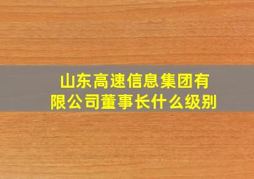 山东高速信息集团有限公司董事长什么级别