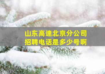 山东高速北京分公司招聘电话是多少号啊