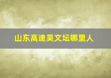 山东高速吴文坛哪里人