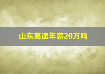 山东高速年薪20万吗