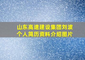 山东高速建设集团刘波个人简历资料介绍图片