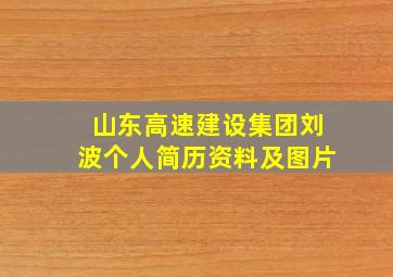 山东高速建设集团刘波个人简历资料及图片