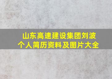 山东高速建设集团刘波个人简历资料及图片大全