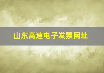 山东高速电子发票网址