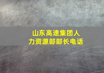 山东高速集团人力资源部部长电话