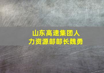 山东高速集团人力资源部部长魏勇