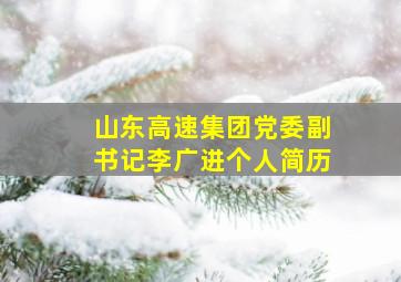 山东高速集团党委副书记李广进个人简历