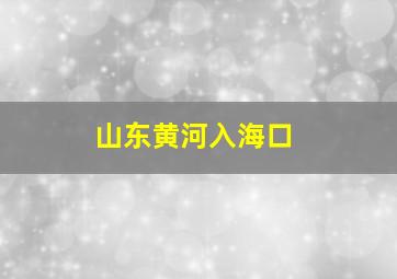 山东黄河入海口