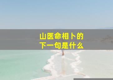 山医命相卜的下一句是什么