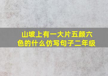 山坡上有一大片五颜六色的什么仿写句子二年级