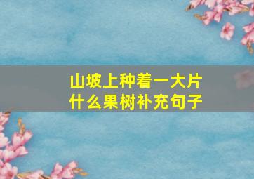 山坡上种着一大片什么果树补充句子