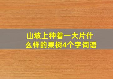 山坡上种着一大片什么样的果树4个字词语