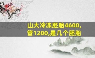 山大冷冻胚胎4600,管1200,是几个胚胎