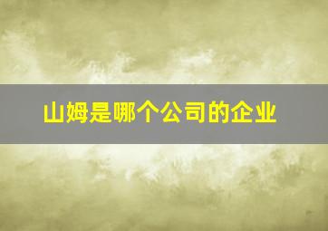 山姆是哪个公司的企业