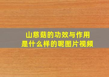 山慈菇的功效与作用是什么样的呢图片视频